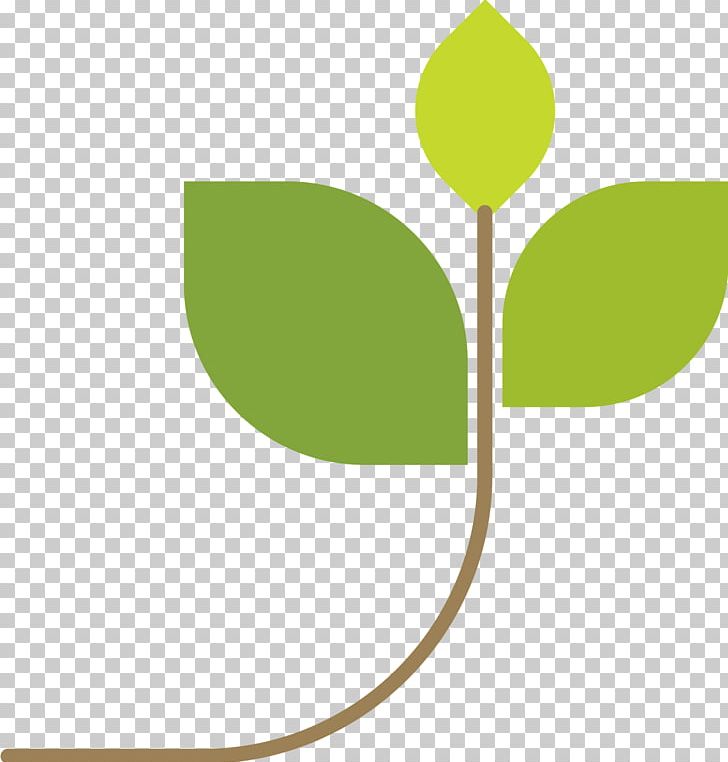 Green Google S PNG, Clipart, Adobe Illustrator, Area, Background Green, Botany, Circle Free PNG Download