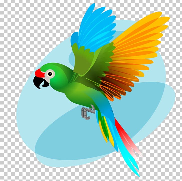 Macaw Beak Budgerigar Bird PNG, Clipart, Animaatio, Animals, Beak, Bird, Bird Bird Free PNG Download