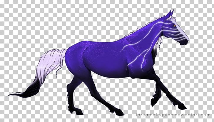 Mustang Stallion Mare Halter Pack Animal PNG, Clipart,  Free PNG Download