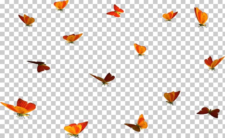 Butterfly PNG, Clipart, Butterflies And Moths, Butterfly, Desktop Wallpaper, Fauna, Fish Free PNG Download