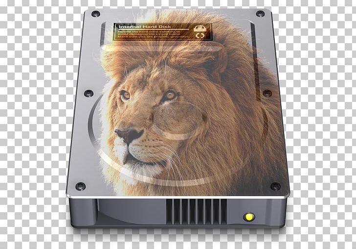 East African Lion Felidae Photography Macintosh PNG, Clipart, Big Cat, Big Cats, Carnivoran, Cat Like Mammal, Desktop Wallpaper Free PNG Download