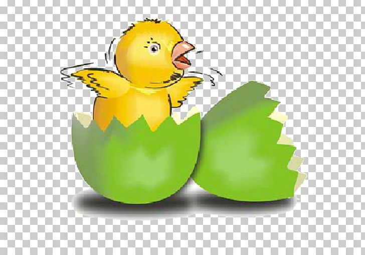 Easter Egg Chicken Egg Decorating PNG, Clipart, Beak, Bird, Chicken, Chicken Or The Egg, Duck Free PNG Download