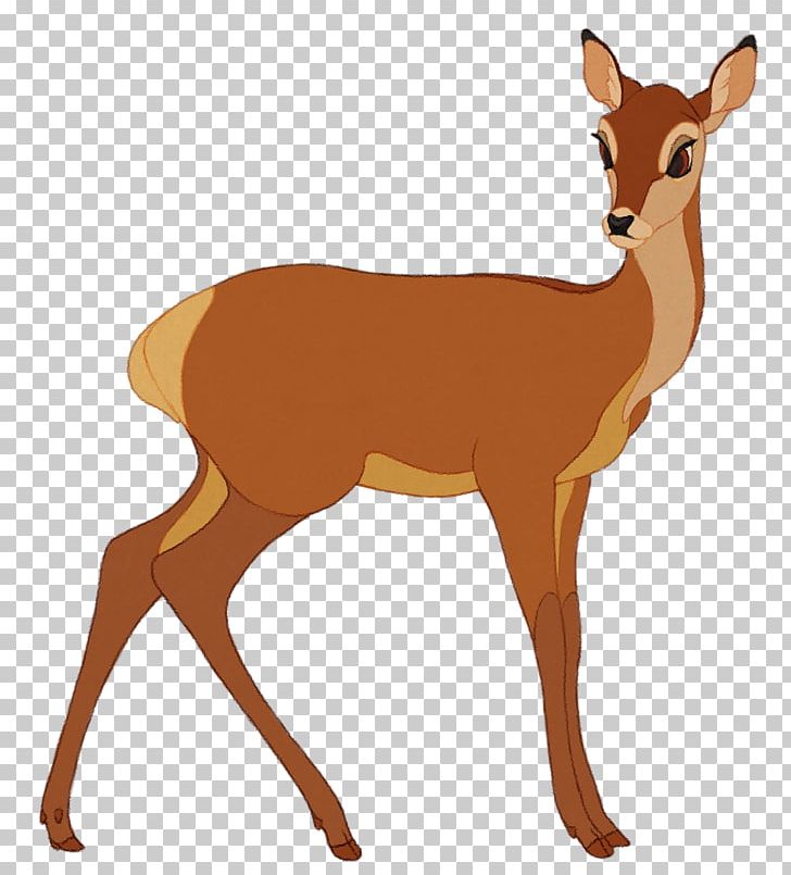 White-tailed Deer Musk Deers Antler Gazelle PNG, Clipart, Animal, Animal Figure, Animals, Antelope, Antler Free PNG Download