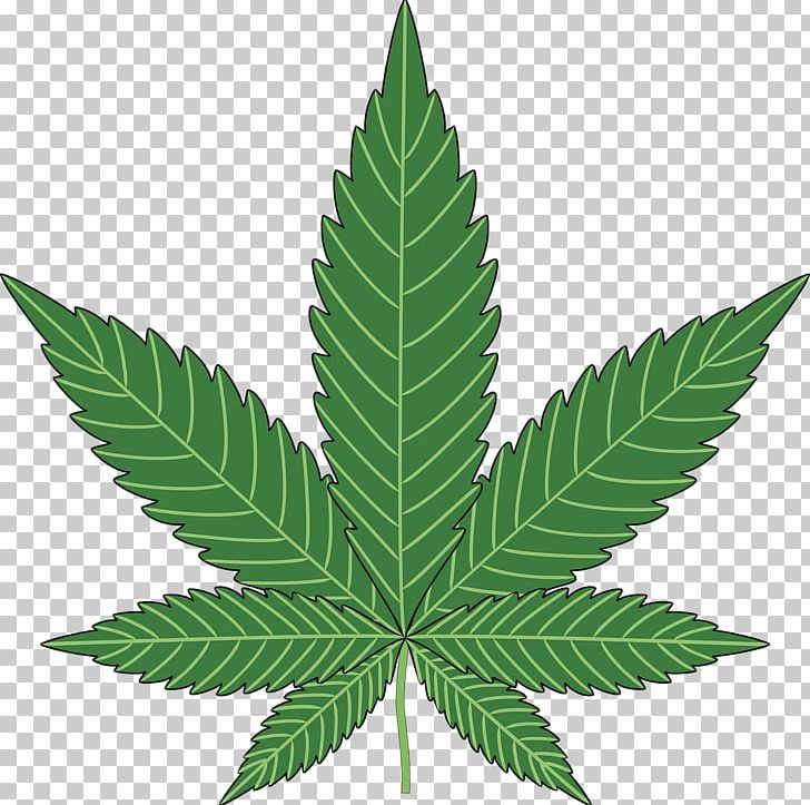 Cannabis PNG, Clipart, Cannabis Free PNG Download