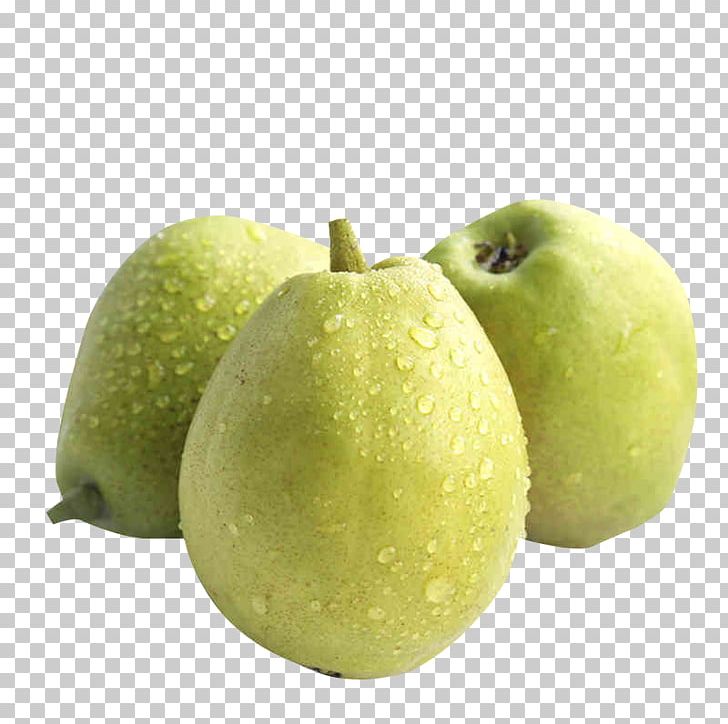 Crisp Pear PNG, Clipart, Apple, Crisp, Crisp Pear, Designer, Download Free PNG Download