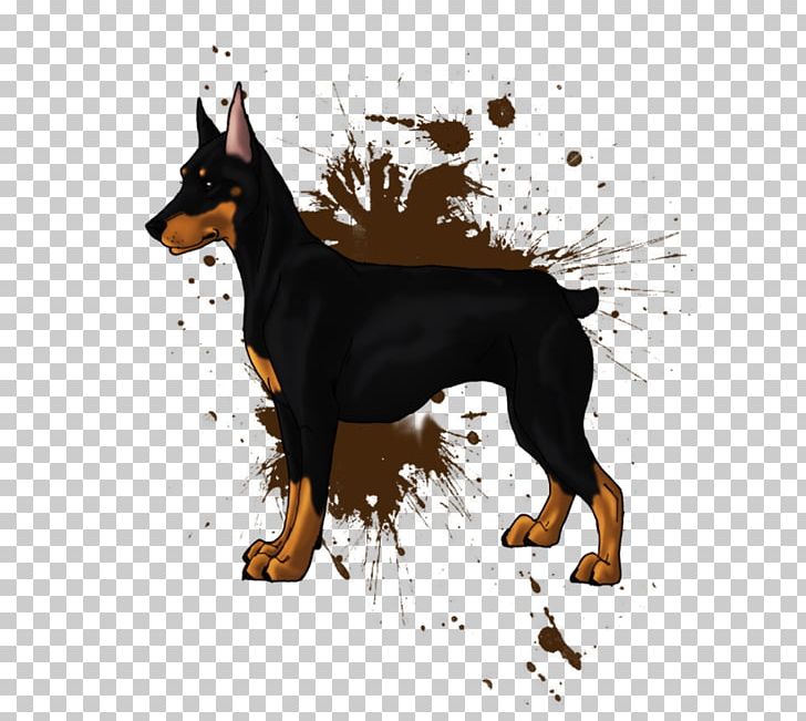 Dobermann Miniature Pinscher Lancashire Heeler German Pinscher Manchester Terrier PNG, Clipart, Art, Australian Kelpie, Beauceron, Carnivoran, Crown Drawing Free PNG Download