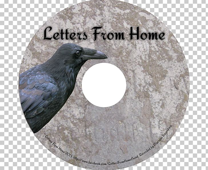Fauna Beak PNG, Clipart, Beak, Crow Like Bird, Fauna, Metalcore, Others Free PNG Download