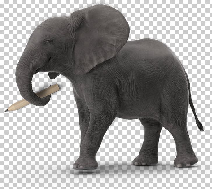 Indian Elephant Graphic Design African Elephant Brand PNG, Clipart, African Elephant, Animal Figure, Art, Brand, Branding Agency Free PNG Download