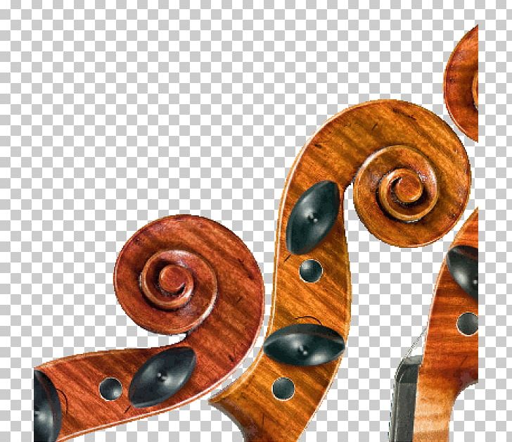 String Trio String Instruments String Quartet String Orchestra PNG, Clipart, Bowed String Instrument, Cello, Chamber Music, Concert, Hemu Free PNG Download