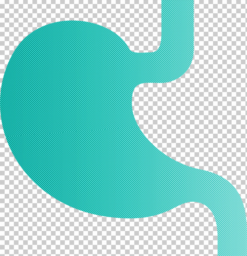 Stomach Organ PNG, Clipart, Aqua, Green, Stomach Organ, Teal, Turquoise Free PNG Download
