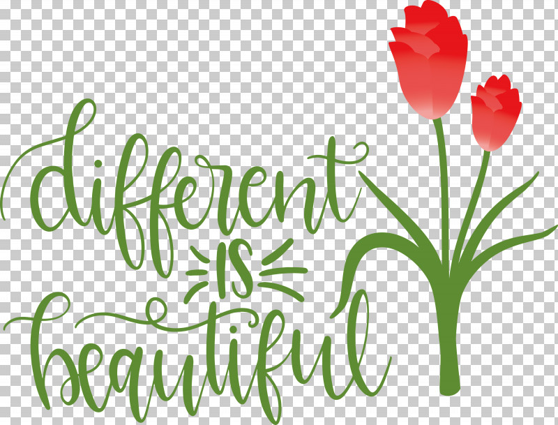 Different Is Beautiful Womens Day PNG, Clipart, Biology, Cut Flowers, Floral Design, Flower, Green Free PNG Download