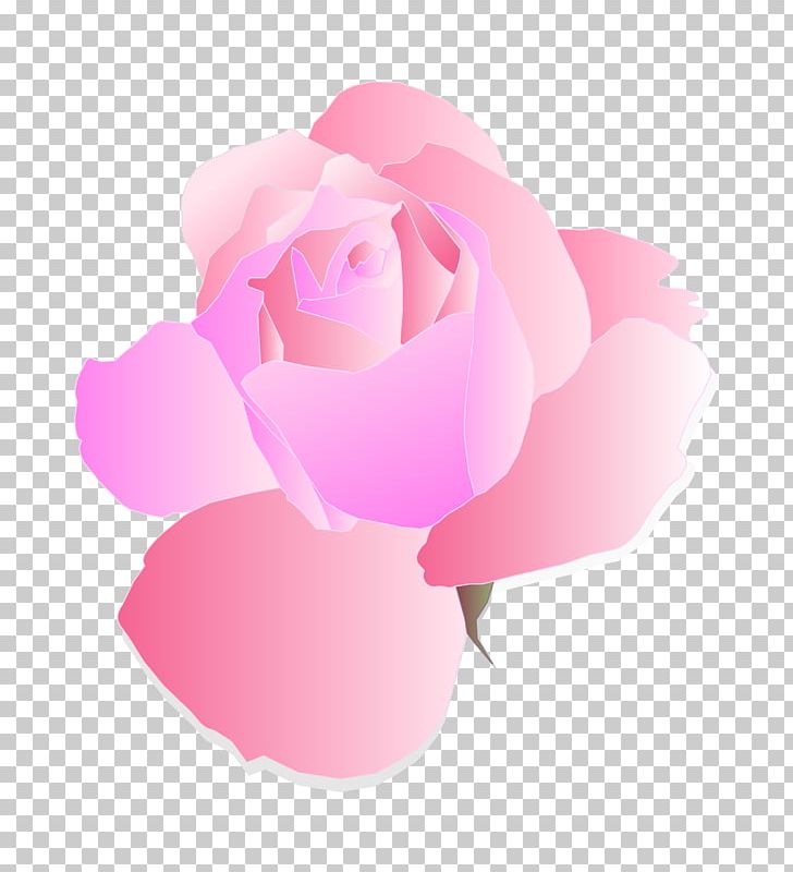 Rose Pink Free PNG, Clipart, Computer Icons, Flower, Flowering Plant, Flowers, Free Free PNG Download