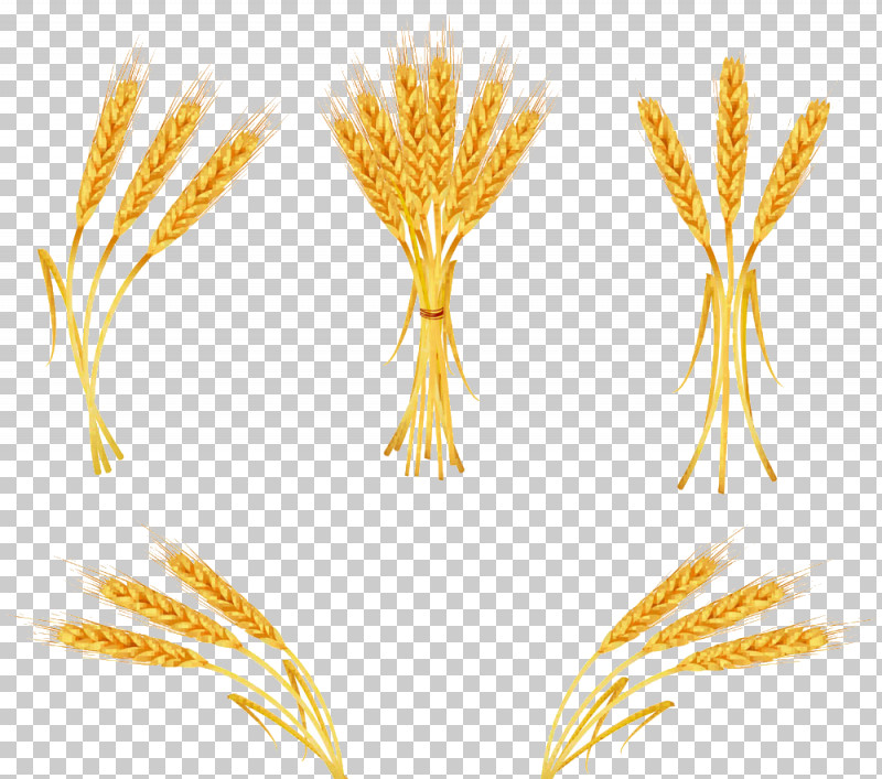 Wheat PNG, Clipart, Bread, Cereal, Crop, Grain, Harvest Free PNG Download
