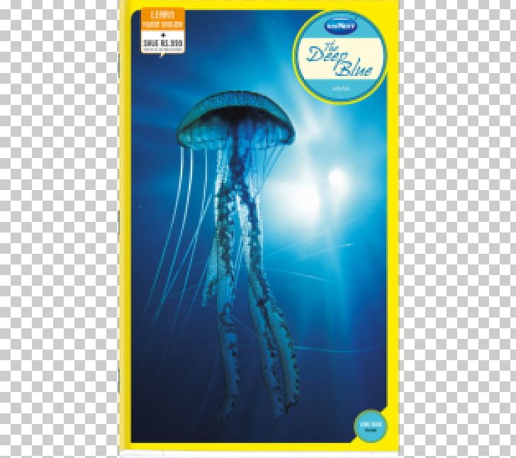 Immortal Jellyfish Box Jellyfish Polyp Planula Animal PNG, Clipart, Adaptation, Aurelia Aurita, Box Jellyfish, Chironex Fleckeri, Cnidaria Free PNG Download