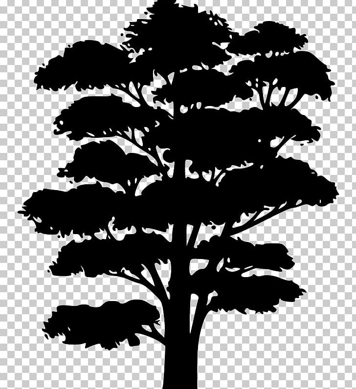 Silhouette Tree Arecaceae PNG, Clipart, Animals, Arecaceae, Black And White, Branch, Color Free PNG Download