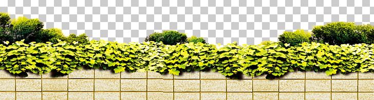 Wall Poster Real Property PNG, Clipart, Background Green, Bush, Bushes, Enclosing, Enclosing Wall Free PNG Download