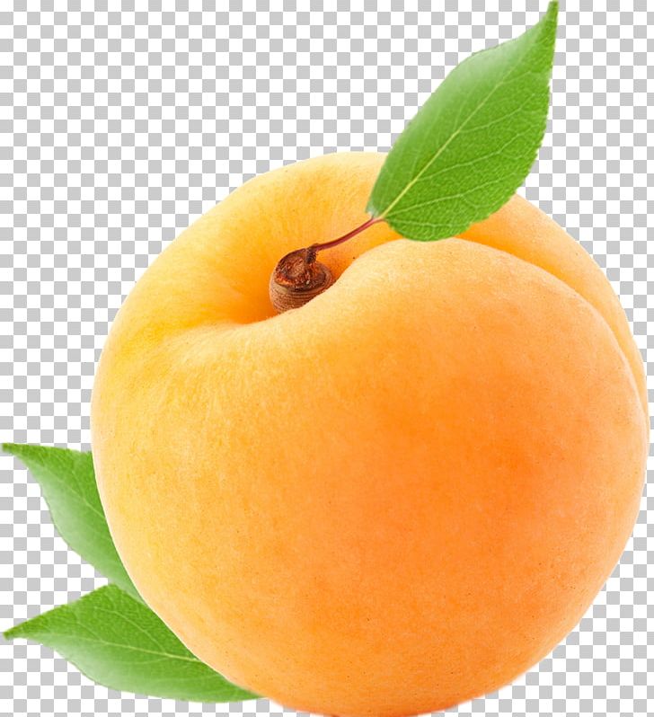 Apricot Food Peach Fruit Plum PNG, Clipart, Apricot, Bitter Orange, Codepen, Diet Food, Food Free PNG Download