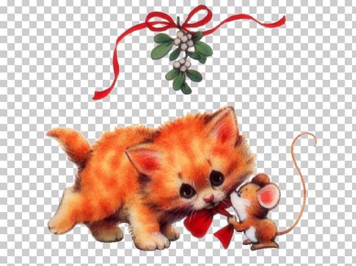 Cat Kitten Animal Red Fox PNG, Clipart, Animal, Animals, Carnivora, Carnivoran, Cat Free PNG Download