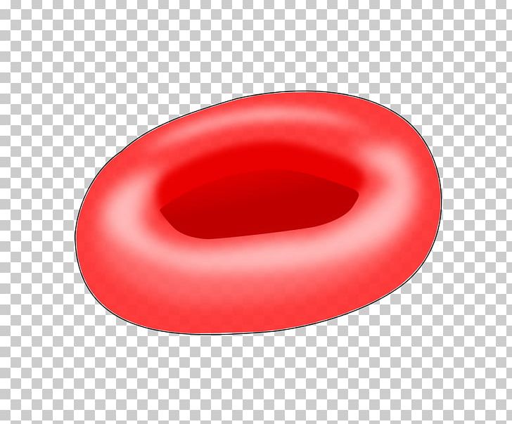 Red Blood Cell Sickle Cell Disease Hemoglobin PNG, Clipart, Blood, Blood Cell, Cell, Cell Nucleus, Circle Free PNG Download