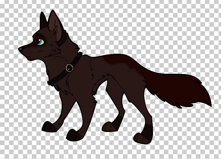 Schipperke Red Fox Big Bad Wolf Carnivora PNG, Clipart, Animals, Big Bad Wolf, Black, Carnivora, Carnivoran Free PNG Download