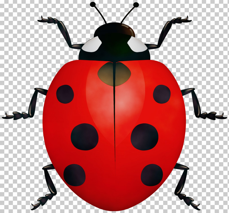 Ladybugs Beetles Vector Drawing Seven-spot Ladybird PNG, Clipart, Beetles, Cartoon, Drawing, Insects, Ladybugs Free PNG Download