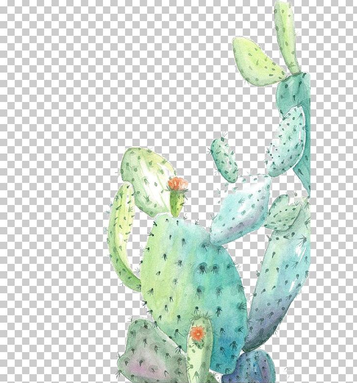 Cactaceae Watercolor Painting Illustration PNG, Clipart, Amphibian, Art, Bonsai, Cactus, Cactus Illustration Free PNG Download