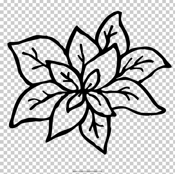 Drawing Coloring Book Basil Floral Design PNG, Clipart, Basil, Black And White, Blog, Branch, Child Free PNG Download