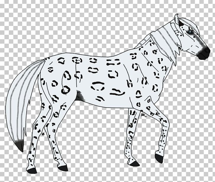 Mule Stallion Mustang Mare Bridle PNG, Clipart, Animal, Animal Figure, Black And White, Bridle, Halter Free PNG Download
