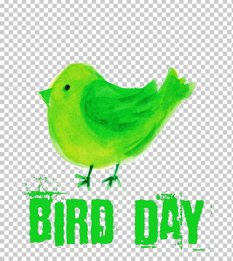 Bird Day Happy Bird Day International Bird Day PNG, Clipart, Beak, Biology, Bird Day, Birds, Bollywood Free PNG Download