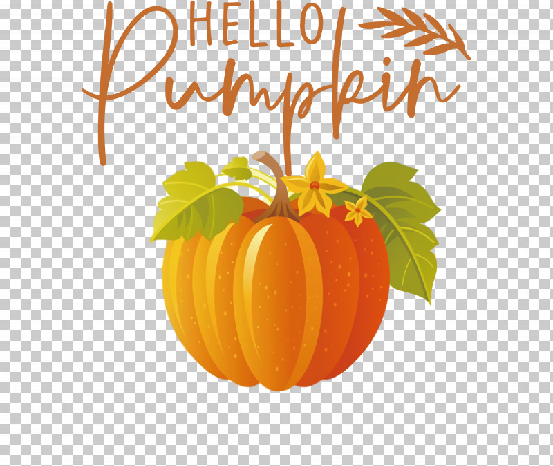 Hello Pumpkin Autumn Thanksgiving PNG, Clipart, Autumn, Cartoon, Drawing, Harvest, Pie Free PNG Download
