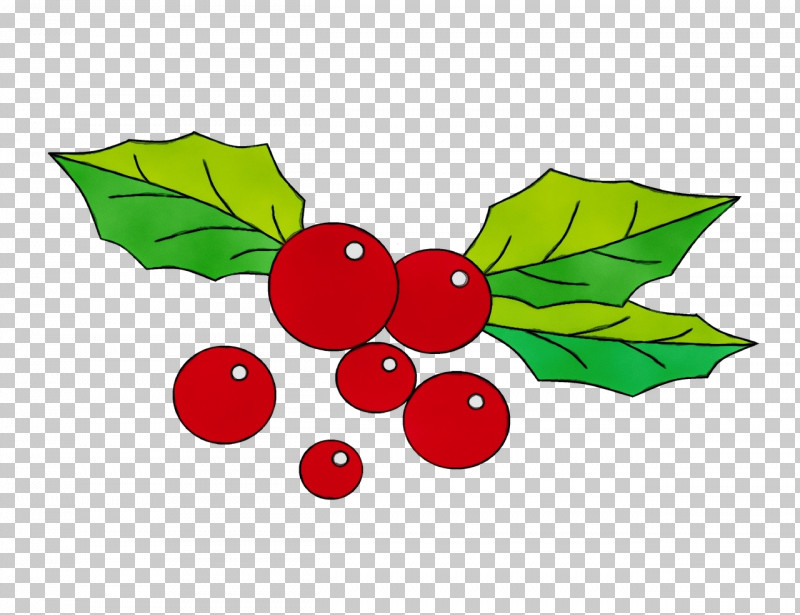 Holly PNG, Clipart, Berry, Currant, Flower, Fruit, Hawthorn Free PNG Download