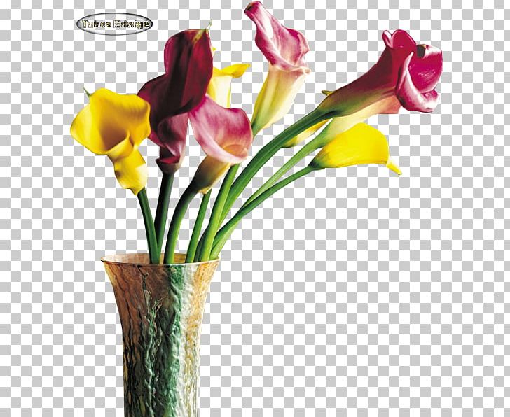 Floral Design Cut Flowers Iris Family Vase PNG, Clipart, Artificial Flower, Cut Flowers, Floral Design, Floristry, Flower Free PNG Download