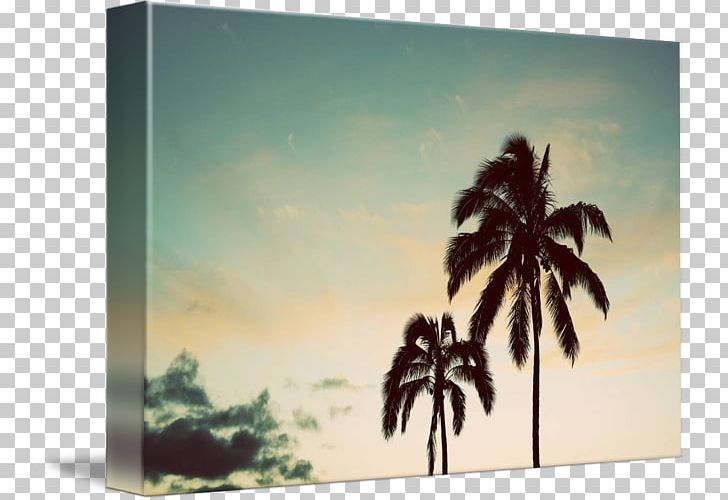 Painting Frames Arecaceae Tree Sky Plc PNG, Clipart, Arecaceae, Art, Coconut Tree, Landscape, Overlooking The Coconut Tree Free PNG Download