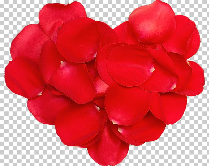 Valentine's Day Diary Blog LiveInternet PNG, Clipart, Birthday, Blog, Cicekler, Cut Flowers, Diary Free PNG Download