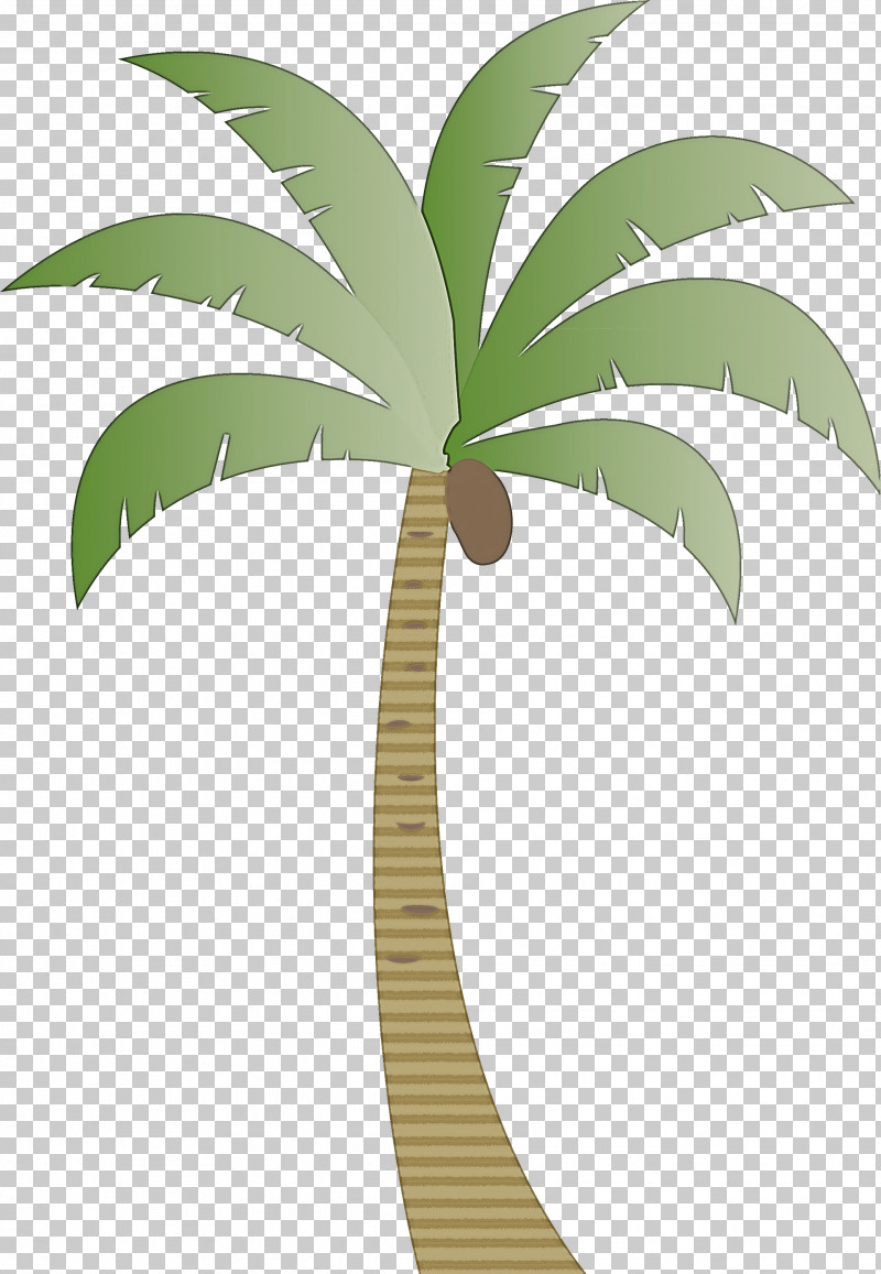 Palm Trees PNG, Clipart, Archontophoenix Cunninghamiana, Arecales, Areca Palm, Beach, Cartoon Tree Free PNG Download