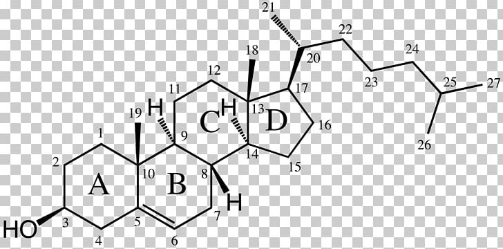 Cholesterol Alkene Dimethylallyl Pyrophosphate Dehydroepiandrosterone PNG, Clipart, Acid, Alkene, Angle, Area, Black And White Free PNG Download