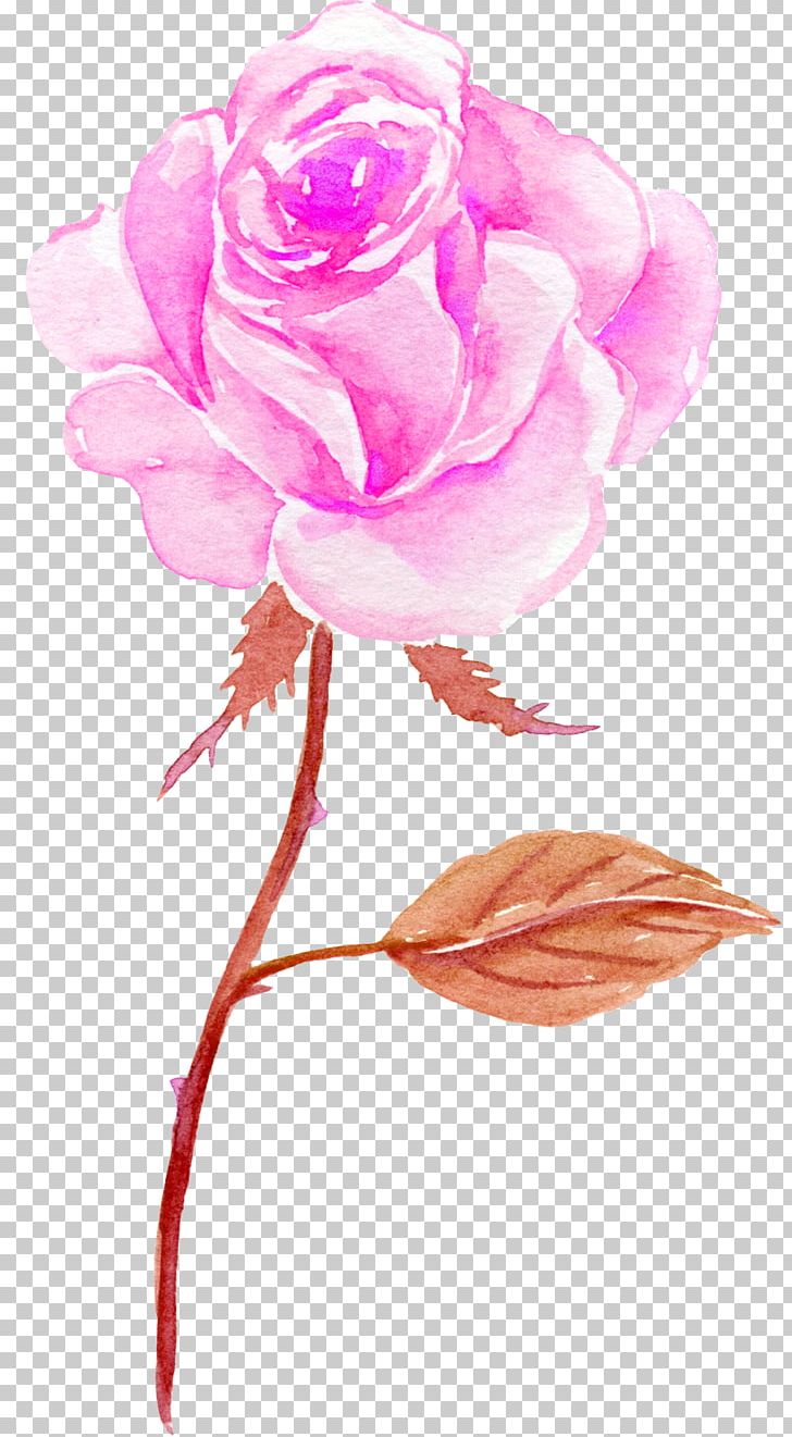 Flower Watercolor Painting PNG, Clipart, Aesthetics, Decorative, Encapsulated Postscript, Flowers, Logo Free PNG Download