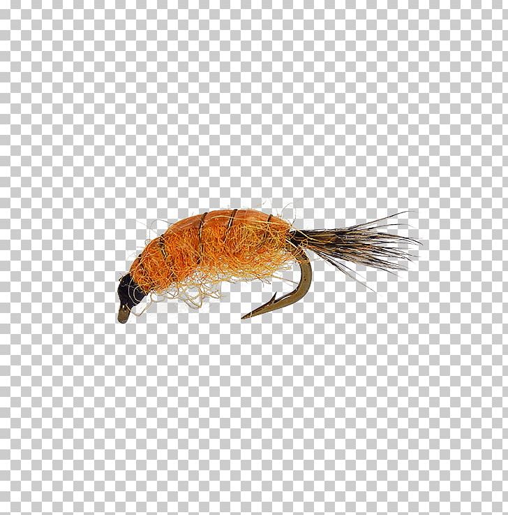 Fly Fishing Artificial Fly Insect Larva PNG, Clipart, Artificial Fly, Brass, Fishing, Fly Fishing, Fly Tying Free PNG Download