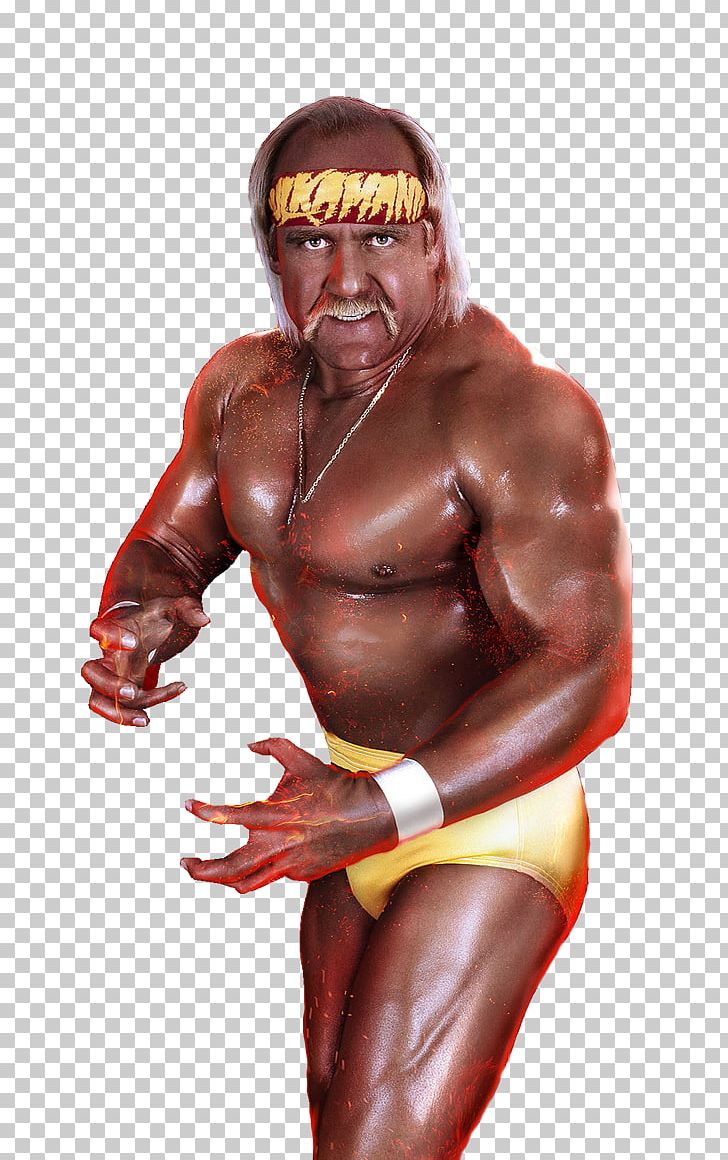 Hulk Hogan WWE 2K15 Professional Wrestling PNG, Clipart, Abdomen, Aggression, Andrxe9 The Giant, Arm, Barechestedness Free PNG Download