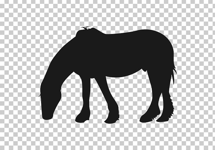 Mustang Pony Stallion Silhouette PNG, Clipart, Animal, Black, Black And White, Caballo, Drawing Free PNG Download