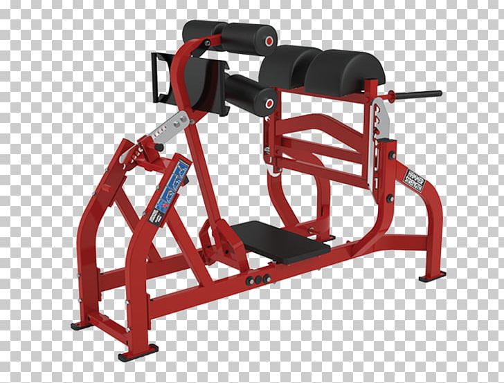 Strength Training Gluteus Maximus Dip Exercise Equipment Gluteal Muscles PNG, Clipart, Automotive Exterior, Bench, Crunch, Dip, Elliptical Trainers Free PNG Download
