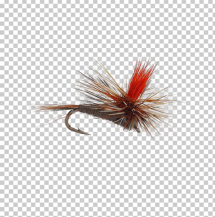 Artificial Fly Fly Fishing Parachute PNG, Clipart, Artificial Fly, Crane Fly, Fishing, Fishing Bait, Fly Free PNG Download