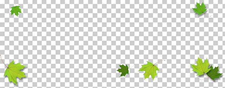 Autumn Leaf Color PNG, Clipart, Autumn, Autumn Leaf Color, Branch, Clover, Color Free PNG Download