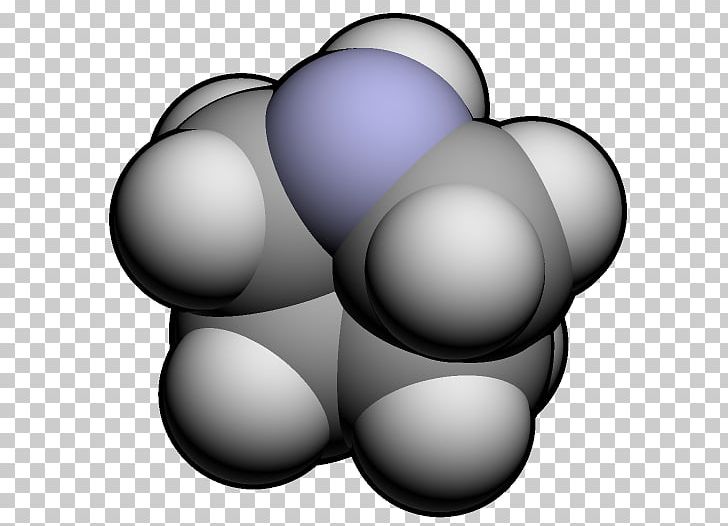 Pyrrolidine Piracetam 2-Pyrrolidone Chemistry Molecule PNG, Clipart, 2pyrrolidone, 3 D, Alkaloid, Amine, Chemical Compound Free PNG Download