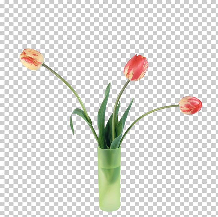 Tulip Flower Digital PNG, Clipart, Artificial Flower, Black Tulip, Cut Flowers, Decorate, Digital Image Free PNG Download