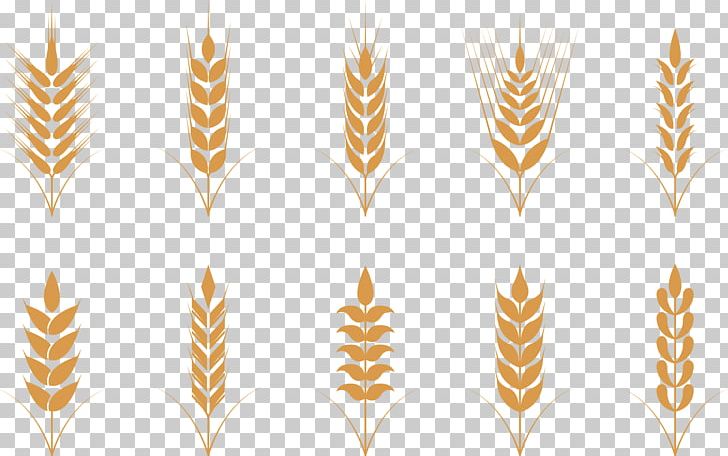 Wheat Oat Ear Icon PNG, Clipart, Cartoon, Cereal, Cereals, Commodity, Crop Free PNG Download