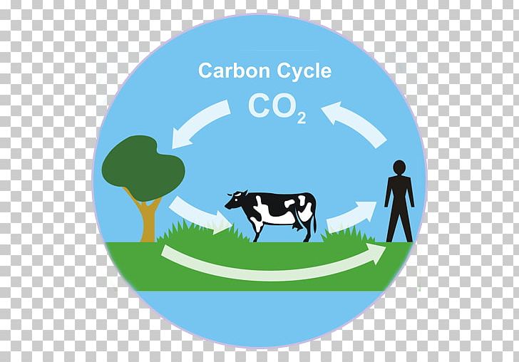 Carbon Cycle Carbon Dioxide Biogeochemical Cycle Photosynthesis PNG, Clipart, Atmosphere Of Earth, Biogeochemical Cycle, Biosphere, Blue, Brand Free PNG Download