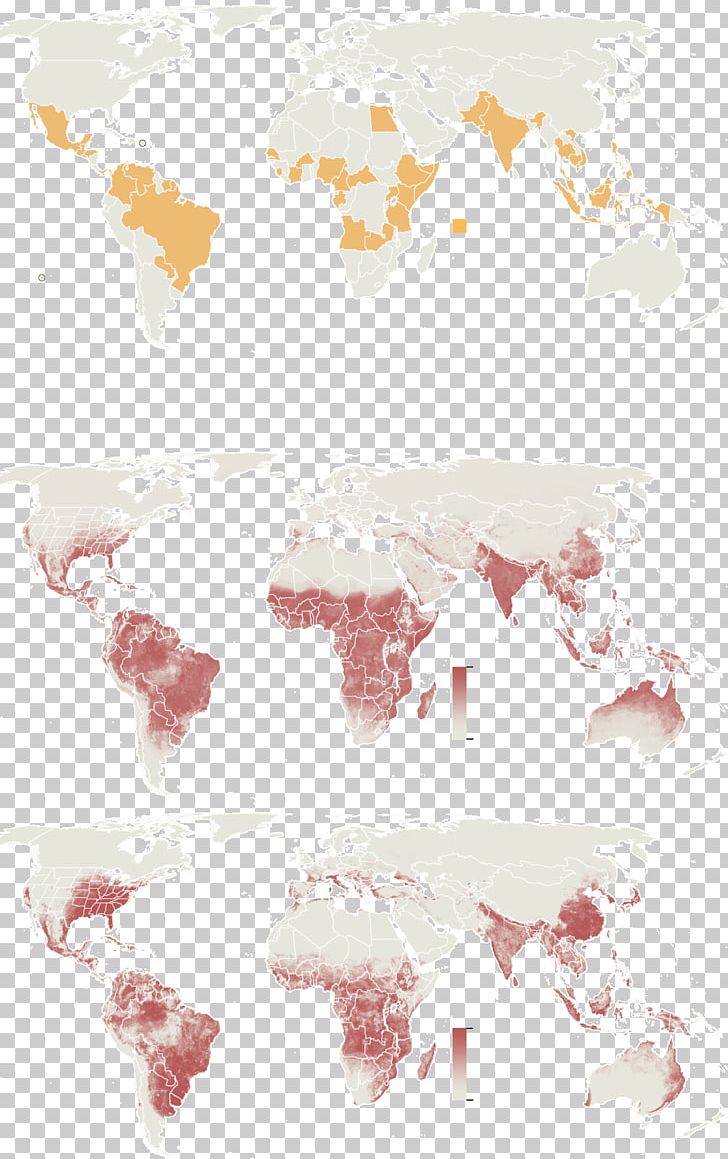 Cartography Zika Virus Map Geography Microcephaly PNG, Clipart, Cartography, Cdc, Estimate, Geography, Infection Free PNG Download