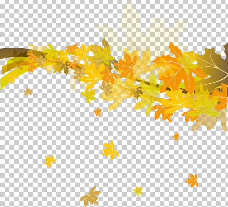 Free beautiful background corel draw PSD Templates | FreeImages