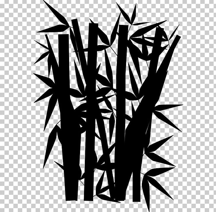 Tree Drawing Arecaceae PNG, Clipart, Angle, Arecaceae, Bamboo, Bambusodae, Black Free PNG Download